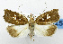  ( - USNM ENT 01069027)  @14 [ ] Unspecified (default): All Rights Reserved  Unspecified Unspecified