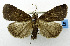  ( - USNM ENT 01069038)  @14 [ ] Unspecified (default): All Rights Reserved  Unspecified Unspecified