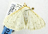  ( - USNM ENT 01069061)  @13 [ ] Unspecified (default): All Rights Reserved  Unspecified Unspecified