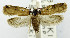  ( - USNM ENT 01069153)  @11 [ ] Unspecified (default): All Rights Reserved  Unspecified Unspecified