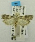 ( - USNM ENT 00192081)  @12 [ ] Unspecified (default): All Rights Reserved  Unspecified Unspecified
