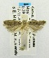  ( - USNM ENT 00192292)  @14 [ ] Unspecified (default): All Rights Reserved  Unspecified Unspecified