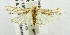  ( - USNM ENT 00192332)  @12 [ ] Unspecified (default): All Rights Reserved  Unspecified Unspecified