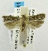  ( - USNM ENT 00192350)  @14 [ ] Unspecified (default): All Rights Reserved  Unspecified Unspecified