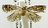  ( - USNM ENT 00193529)  @13 [ ] Unspecified (default): All Rights Reserved  Unspecified Unspecified