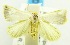  ( - USNM ENT 00193533)  @14 [ ] Unspecified (default): All Rights Reserved  Unspecified Unspecified
