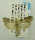  ( - USNM ENT 00193589)  @12 [ ] Unspecified (default): All Rights Reserved  Unspecified Unspecified
