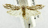  ( - USNM ENT 00194306)  @12 [ ] Unspecified (default): All Rights Reserved  Unspecified Unspecified
