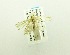  ( - USNM ENT 00194418)  @12 [ ] Unspecified (default): All Rights Reserved  Unspecified Unspecified
