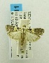  ( - USNM ENT 00194639)  @11 [ ] Unspecified (default): All Rights Reserved  Unspecified Unspecified