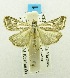  ( - USNM ENT 00194825)  @14 [ ] Unspecified (default): All Rights Reserved  Unspecified Unspecified