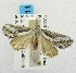  ( - USNM ENT 00195064)  @12 [ ] Unspecified (default): All Rights Reserved  Unspecified Unspecified