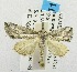  ( - USNM ENT 00195085)  @12 [ ] Unspecified (default): All Rights Reserved  Unspecified Unspecified