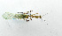 ( - USNM ENT 00195561)  @12 [ ] Unspecified (default): All Rights Reserved  Unspecified Unspecified