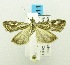  ( - USNM ENT 00676284)  @13 [ ] Unspecified (default): All Rights Reserved  Unspecified Unspecified