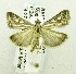  ( - USNM ENT 00676285)  @14 [ ] Unspecified (default): All Rights Reserved  Unspecified Unspecified