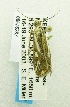  ( - USNM ENT 00676287)  @12 [ ] Unspecified (default): All Rights Reserved  Unspecified Unspecified