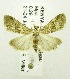  ( - USNM ENT 00676308)  @14 [ ] Unspecified (default): All Rights Reserved  Unspecified Unspecified