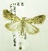  ( - USNM ENT 00676309)  @14 [ ] Unspecified (default): All Rights Reserved  Unspecified Unspecified