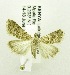  ( - USNM ENT 00676310)  @14 [ ] Unspecified (default): All Rights Reserved  Unspecified Unspecified