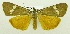  (Secusio strigata - USNM ENT 00676353)  @14 [ ] Unspecified (default): All Rights Reserved  Unspecified Unspecified