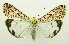  ( - USNM ENT 00676354)  @13 [ ] Unspecified (default): All Rights Reserved  Unspecified Unspecified