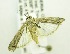  ( - USNM ENT 00676586)  @12 [ ] Unspecified (default): All Rights Reserved  Unspecified Unspecified