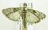  ( - USNM ENT 00676614)  @13 [ ] Unspecified (default): All Rights Reserved  Unspecified Unspecified