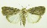 ( - USNM ENT 00676963)  @14 [ ] Unspecified (default): All Rights Reserved  Unspecified Unspecified