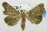  ( - USNM ENT 00718745)  @13 [ ] Unspecified (default): All Rights Reserved  Unspecified Unspecified