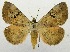  ( - USNM ENT 00718757)  @14 [ ] Unspecified (default): All Rights Reserved  Unspecified Unspecified