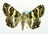  ( - USNM ENT 00718820)  @15 [ ] Unspecified (default): All Rights Reserved  Unspecified Unspecified