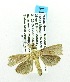  ( - USNM ENT 00718830)  @12 [ ] Unspecified (default): All Rights Reserved  Unspecified Unspecified