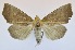  ( - USNM ENT 00718913)  @14 [ ] Unspecified (default): All Rights Reserved  Unspecified Unspecified