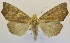  ( - USNM ENT 00718921)  @14 [ ] Unspecified (default): All Rights Reserved  Unspecified Unspecified