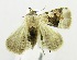  ( - USNM ENT 00719245a)  @13 [ ] Unspecified (default): All Rights Reserved  Unspecified Unspecified