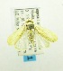  ( - USNM ENT 00719448)  @13 [ ] Unspecified (default): All Rights Reserved  Unspecified Unspecified