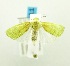  ( - USNM ENT 00719546)  @13 [ ] Unspecified (default): All Rights Reserved  Unspecified Unspecified