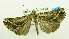  ( - USNM ENT 00719566)  @12 [ ] Unspecified (default): All Rights Reserved  Unspecified Unspecified