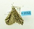  ( - USNM ENT 00719567)  @13 [ ] Unspecified (default): All Rights Reserved  Unspecified Unspecified