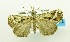  ( - USNM ENT 00719569)  @14 [ ] Unspecified (default): All Rights Reserved  Unspecified Unspecified