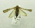 ( - USNM ENT 00719637)  @13 [ ] Unspecified (default): All Rights Reserved  Unspecified Unspecified