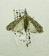  ( - USNM ENT 00719670)  @13 [ ] Unspecified (default): All Rights Reserved  Unspecified Unspecified