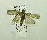  ( - USNM ENT 00719702)  @13 [ ] Unspecified (default): All Rights Reserved  Unspecified Unspecified