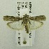  ( - USNM ENT 00719724)  @12 [ ] Unspecified (default): All Rights Reserved  Unspecified Unspecified