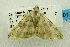  ( - USNM ENT 00719786)  @12 [ ] Unspecified (default): All Rights Reserved  Unspecified Unspecified