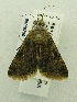  ( - USNM ENT 00719790)  @12 [ ] Unspecified (default): All Rights Reserved  Unspecified Unspecified