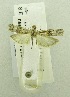  ( - USNM ENT 00719800)  @12 [ ] Unspecified (default): All Rights Reserved  Unspecified Unspecified