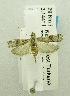  ( - USNM ENT 00719802)  @12 [ ] Unspecified (default): All Rights Reserved  Unspecified Unspecified