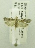  ( - USNM ENT 00719803)  @12 [ ] Unspecified (default): All Rights Reserved  Unspecified Unspecified